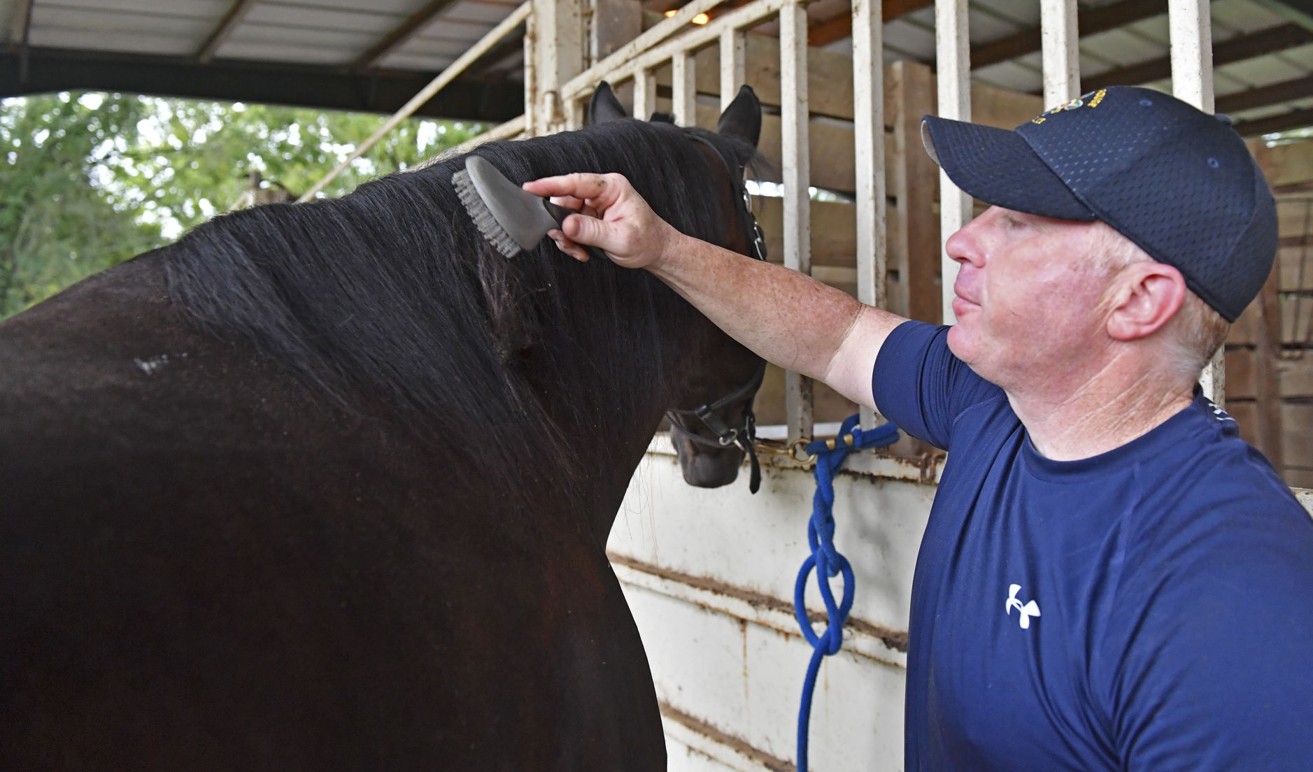 BR.brpdhorses.adv HS 010.JPG